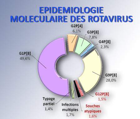 Epidémiologie génotypique des rotavirus