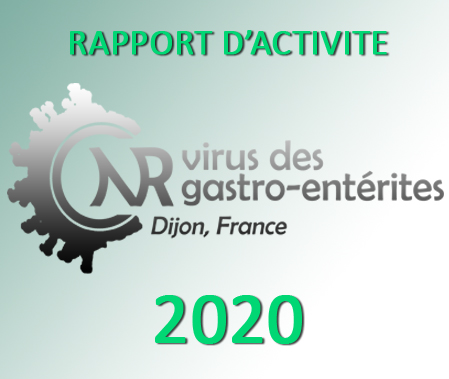 Rapport d'activité 2020