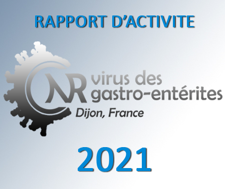 Rapport d'activité 2021