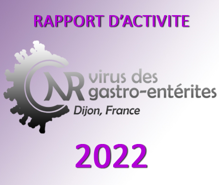 Rapport d'activité 2022