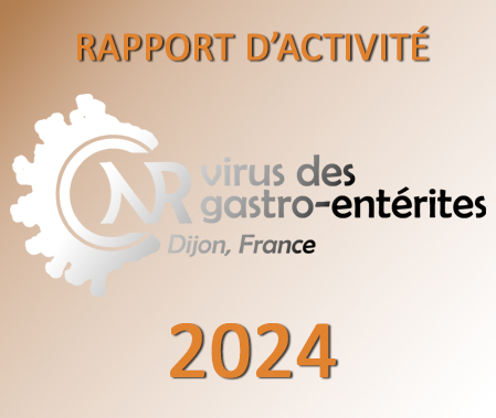 Rapport d'activité 2024